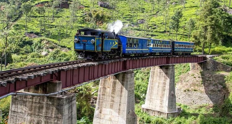 Misty Escape – Ooty Edition