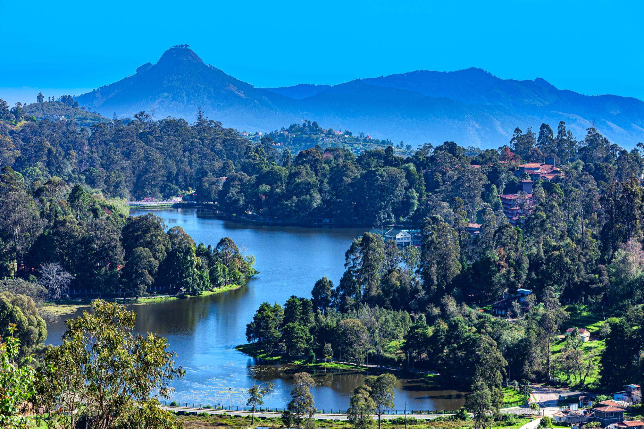 Kodaikanal Valley Bliss