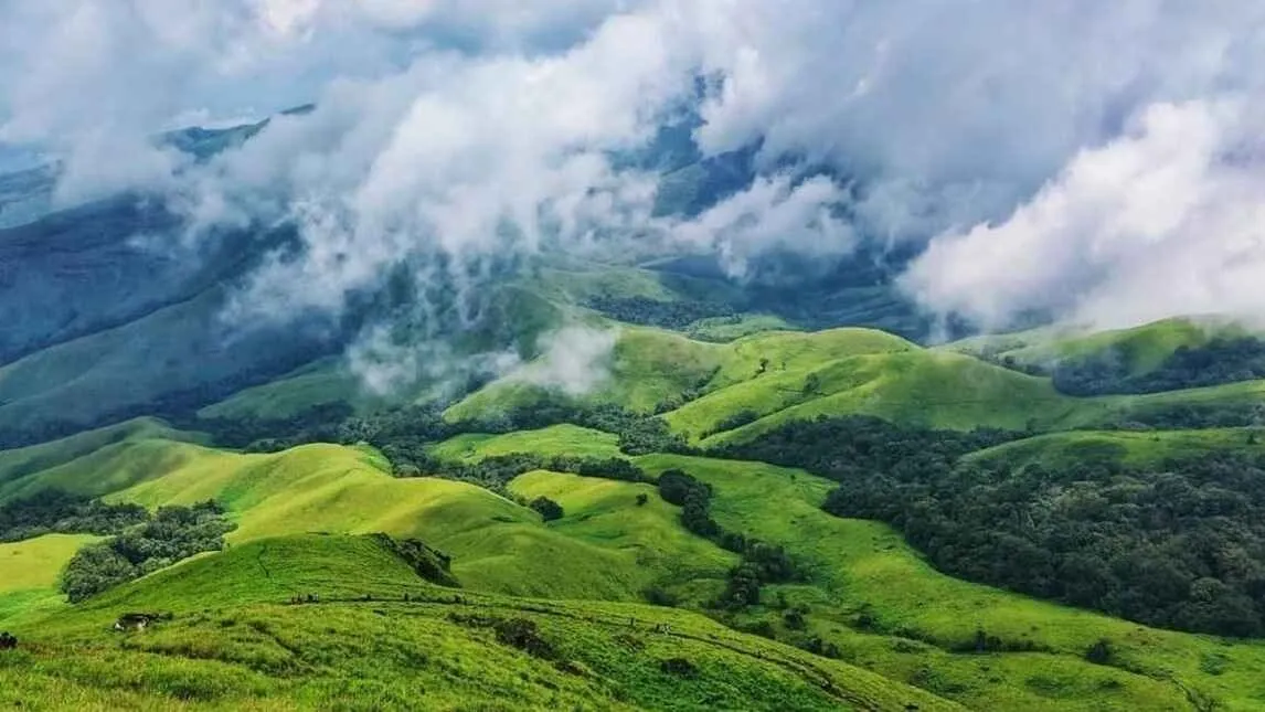 Coorg Coffee Trails