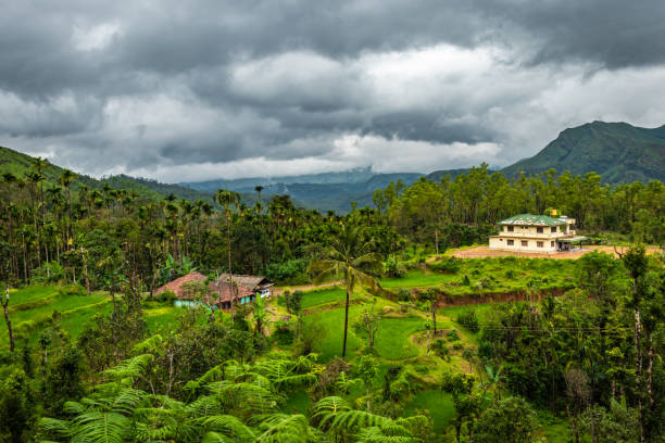 Chikmagalur Chill & Trek